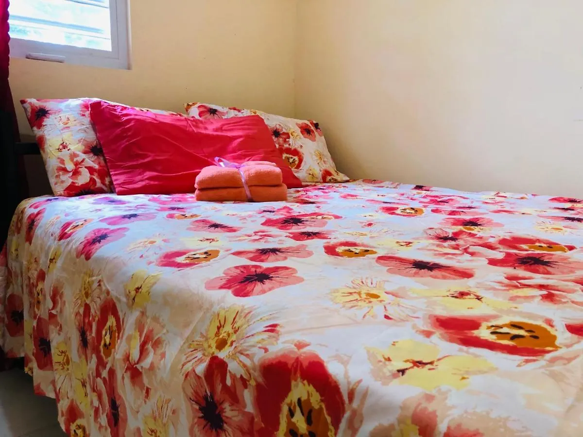 Le Petit Jardin Curacao Appartamento Willemstad